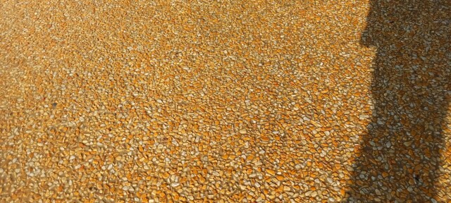 Giallo Siena e terra Toscana Giallo Siena e terra Toscana