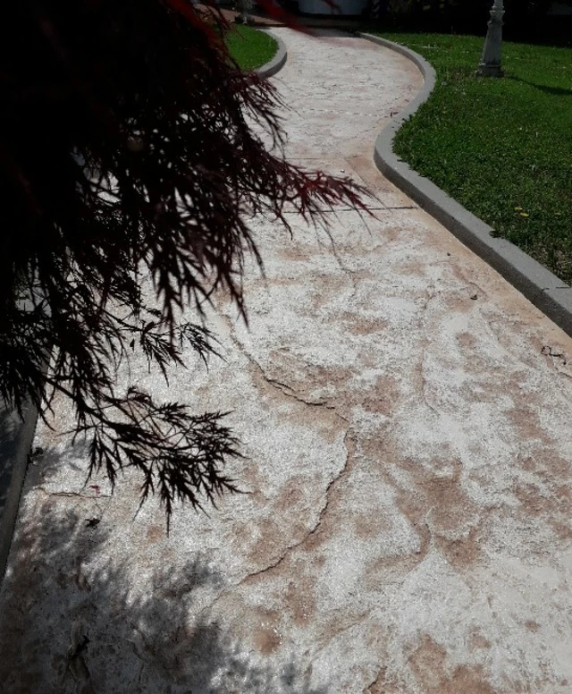 stradina stampata stradina stampata