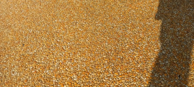 Giallo Siena e terra Toscana Giallo Siena e terra Toscana
